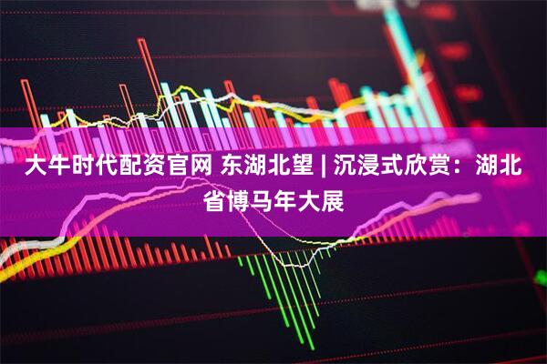 大牛时代配资官网 东湖北望 | 沉浸式欣赏：湖北省博马年大展